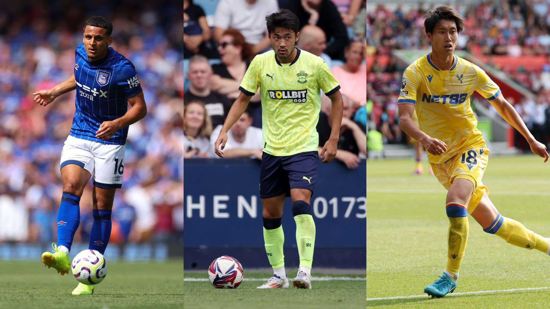 得到了显著 得到了显著